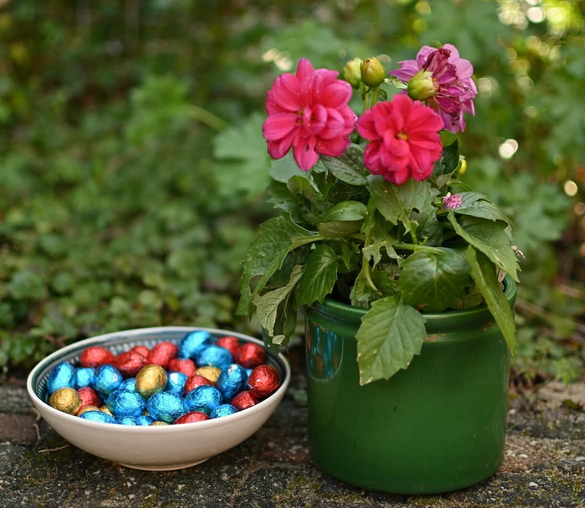 Lentekriebels